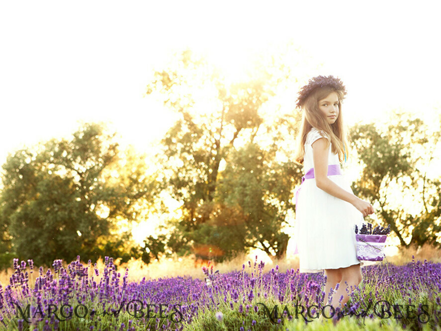 BASKET, PILLOWS & SHOES basket shoes