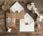 WEDDING INVITATIONS passport to love/ beach wedding invites  Beach  Wedding invitations Vellum bally band Wedding Invites with starfish Rustic Pocket Fold wedding Cards 5
