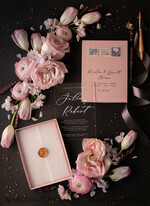 WEDDING INVITATIONS Elegant Invites Classic Cards Romantic Blush Pink Box Wedding Invitation Suite, Elegant Affordable Wedding Invites, Luxury Acrylic Plexi Wedding Invitations, Glamour Vellum Wedding Cards15