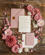 WEDDING INVITATIONS Elegant Invites Classic Cards Elegant Blush Pink Wedding Invitation set, Fine Art Wedding Stationery Vintage Landscape, Minimalistic wedding invites, bespoke stationary17