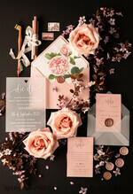 HOCHZEITS EINLADUNGEN Elegante Einladungen Klassische Karten Luxus Gefrorene Acryl Plexi Hochzeits Einladungen, Romantische Blush Pink Hochzeits Einladungen, Elegante Pfingstrose Hochzeitskarten, Minimalistische Hochzeitsstationery21
