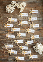 PLATZKARTEN / TISCHKARTEN  
 Strand-/Marin-/Destination Hochzeits Thema Elegante Marine-Hochzeitsplatzkarten mit einem Seestern und Jute-Schnur, minimalistische Namensschilder für Ihre Hochzeitstische, romantische Hochzeitsplatzschilder, bearbeitbarer Text3