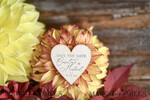 Hochzeits-Save-the-Date-Karte, Pastell5