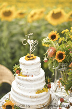CAKE TOPPER wood topper, wooden cake topper4