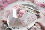 Wedding Favor gifts, personalized box and tag11