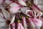 PLACE CARDS / TABLE CARDS Romantic Boho/ Botanical/ Floral Luxury UV White Print Place Cards, Transparent Acrylic Place Cards, Minimalst Acrylic Laser Cut Name Tags, Simple Modern Wedding Place Card, Stunning Table Tags8
