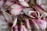 PLACE CARDS / TABLE CARDS Romantic Boho/ Botanical/ Floral Luxury UV White Print Place Cards, Transparent Acrylic Place Cards, Minimalst Acrylic Laser Cut Name Tags, Simple Modern Wedding Place Card, Stunning Table Tags8