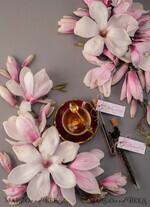 wedding favors, tea coffee bags1