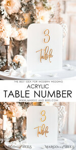 TABLE DECOR SIGNS Acrylic table decor Numbers Acrylic Frozen Table Numbers, Frosted Acrylic And Gold Sign, Gold Plexi Table Numbers, Luxury Wedding Table Decor, Wedding Signage Golden Mirror Table Numbers8