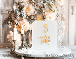 TABLE DECOR SIGNS Acrylic table decor Numbers Acrylic Frozen Table Numbers, Frosted Acrylic And Gold Sign, Gold Plexi Table Numbers, Luxury Wedding Table Decor, Wedding Signage Golden Mirror Table Numbers8