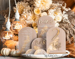 TABLE DECOR SIGNS Acrylic table decor Numbers Acrylic Arch Cappuccino Table Menu, Clear Acrylic And Gold Sign, Nude Gold Plexi Table Numbers, Tan Luxury Wedding Table Decor, Earthy Wedding Signage Golden Mirror Table Numbers25