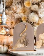 TABLE DECOR SIGNS Acrylic table decor Numbers Acrylic Arch Beige Table Numbers, Clear Acrylic and gold table numbers, Nude Taupe Gold Plexi Table Numbers, Tan Luxury Wedding Table Decor, Earthy Wedding Sign34