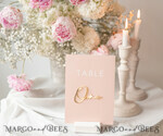 TABLE DECOR SIGNS Acrylic table decor Numbers Wedding table numbers, Pink and Gold Table numbers,  Acrylic table numbers, Set of Table Numbers, Centerpieces Luxury Decorations, Wedding Table Numbers BpPXSet12