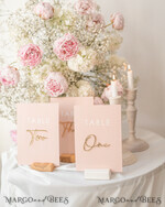 TABLE DECOR SIGNS Acrylic table decor Numbers Wedding table numbers, Pink and Gold Table numbers,  Acrylic table numbers, Set of Table Numbers, Centerpieces Luxury Decorations, Wedding Table Numbers BpPXSet12