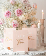 TABLE DECOR SIGNS Acrylic table decor Numbers Wedding table numbers, Pink and Gold Table numbers,  Acrylic table numbers, Set of Table Numbers, Centerpieces Luxury Decorations, Wedding Table Numbers BpPXSet12