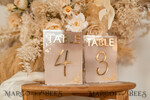 TABLE DECOR SIGNS Acrylic table decor Numbers Acrylic Ombre Beige Table Numbers, Painted plexi & gold table numbers, Nude Taupe Gold Plexi Table Numbers, Tan Luxury Wedding Table Decor, Earthy Wedding Sign20