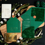 SAMPLING SERVICE samples Green wedding Invitation Sample, handmade sample set, Green Velvet and Gold wedding invitation, Clear Acryl invites sample set7