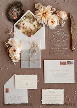 SAMPLING SERVICE samples Rustic wedding Invitation Sample, handmade sample set, Acrylic wedding invitation sample set, Baby Breath invites sample set, clear acryl invites samples9