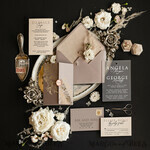 SAMPLING SERVICE samples Ivory Beige wedding Invitation Sample, Cappuccino handmade sample set, Beige Velvet and Gold Foil wedding invitation, frosted acryl invites sample set5