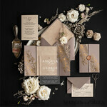 SAMPLING SERVICE samples Ivory Beige wedding Invitation Sample, Cappuccino handmade sample set, Beige Velvet and Gold Foil wedding invitation, frosted acryl invites sample set5