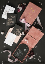 WEDDING INVITATIONS Invitations for VIP/ boxed Invites for Parents Arch Acrylic  Wedding Invitations in velvet box, Black Plexi Glamour Wedding Invitation Suite Luxury Box, Moon Stars Elegant Velvet Wedding Cards34