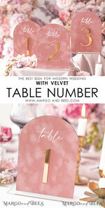 TABLE DECOR SIGNS Velvet table Numbers and Decor Arch Table Number, Luxury Blush Pink Velvet Arched Table numbers with acrylic stand, blush pink and Gold Wedding Table Decor, 3D Golden Letters, Wedding signage12