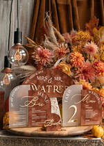 TABLE DECOR SIGNS Velvet table Numbers and Decor Acrylic Arched Table Numbers and Menu Set, Clear And Frozen Acrylic Gold Sign, Gold Table Numbers And Menu Set, Terracotta Velvet Table Numbers, Wedding Signage24
