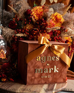 CARD BOXES velvet card boxes Terracotta Fall Card Box and Arch Acrylic Cards & Gifts Clear Sign, Velvet Rust Wedding Card Box with Lid, Burnt Orange Wedding Money Box,  Copper Wedding Card Box cards and gift Arch acrylic sign set31