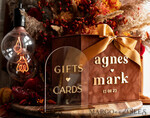 CARD BOXES velvet card boxes Terracotta Fall Card Box and Arch Acrylic Cards & Gifts Clear Sign, Velvet Rust Wedding Card Box with Lid, Burnt Orange Wedding Money Box,  Copper Wedding Card Box cards and gift Arch acrylic sign set31