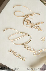 FOTOALBUM/ FOTOBOX Velvet Foto Box Fotografen Box Elfenbein Große Samt Foto Box, Gold Fotografen Box, Hochzeits Erinnerungsbox, Gold Spiegel Maßgeschneiderte Erinnerungsbox, Fotografen Geschenke für Klienten, Hochzeitsbilder Verpackung, Maßgeschneiderte Fotobox20