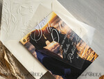 SAVE THE DATES photo vellum plexi  Embossed Save the Date Cards with Photo, Ivory Plexi Clear Save Our Dates with Photo 9