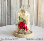 Geschenke zum Muttertag Glaskuppel mit Trockenblumen Glaskuppel mit Trockenblumen & Rose – Geschenkidee zum Muttertag9