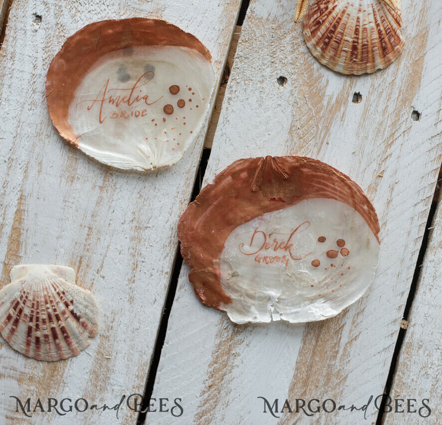 seashells pictures and names
