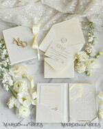 WEDDING INVITATIONS plexi acrylic mirror velvet Cover Clear Wedding Invitations, Elegant dusty blue Wedding Cards,  Acrylic Wedding Invites, Mirror Gold Plexi Invitation Suite19