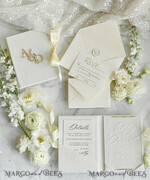 WEDDING INVITATIONS plexi acrylic mirror velvet Cover Clear Wedding Invitations, Elegant dusty blue Wedding Cards,  Acrylic Wedding Invites, Mirror Gold Plexi Invitation Suite19